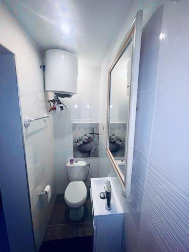 a bathroom with a toilet and a sink and a mirror at Domaine Maud-Jardin de Maud ! 100m plage in Saint-Pierre