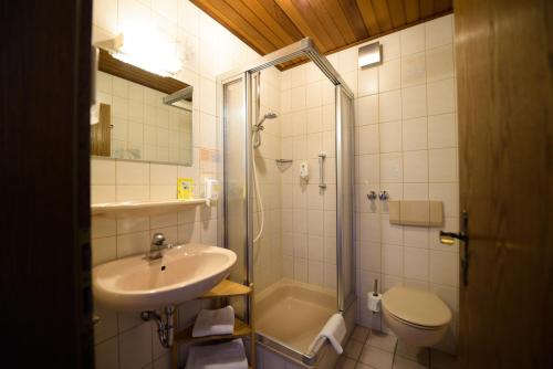 a bathroom with a sink and a toilet and a shower at Landgasthaus Pension Schmidthöfer in Berschweiler
