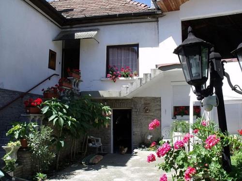 Ảnh trong thư viện ảnh của Magdi Panzió ở Hévíz