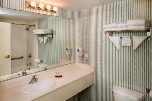 a bathroom with a sink and a mirror and a toilet at Williamsburg Woodlands Hotel & Suites, an official Colonial Williamsburg Hotel in Williamsburg