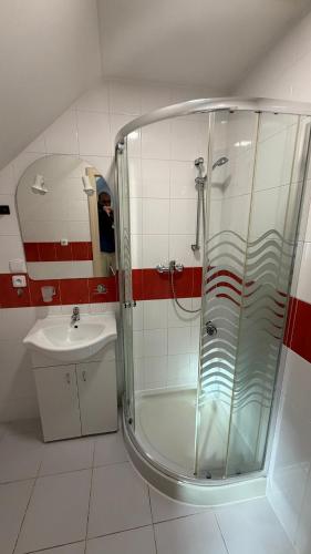 a bathroom with a shower and a sink at Ubytování Divišov in Divišov