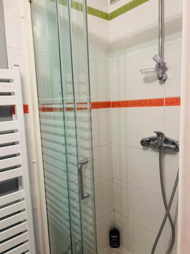 a shower with a glass door in a bathroom at La maisonnette in Warmeriville
