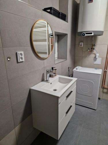 a bathroom with a sink and a mirror at Ve dvoře in Výrovice