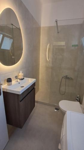 a bathroom with a toilet and a sink and a mirror at Holiday & Business Furnished Apartments in Mytikas
