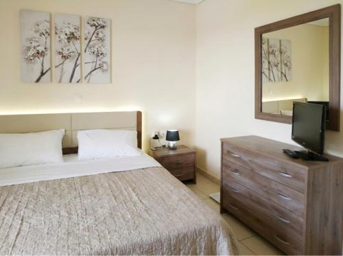a bedroom with a bed and a mirror and a television at Holiday & Business Furnished Apartments in Mytikas