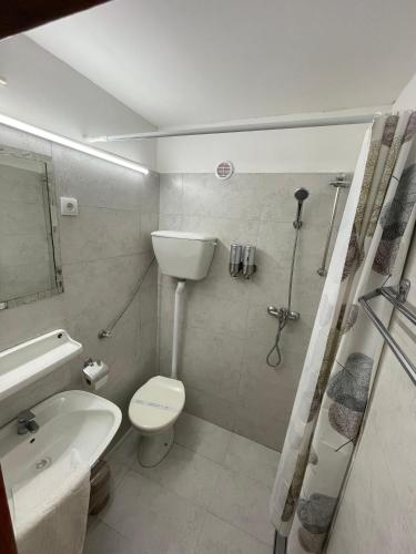 a bathroom with a sink and a toilet and a shower at Themis Apartment in Kotor