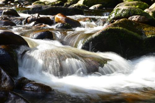a stream of water rushing over rocks in a river at Apartmán u lesa, Srní 119 in Srní