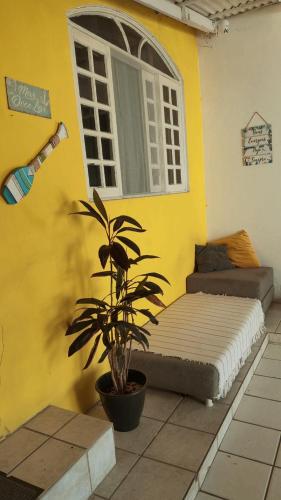 a room with a bed and a plant in front of a window at Quarto 1 econômico Centro Itajaí in Itajaí