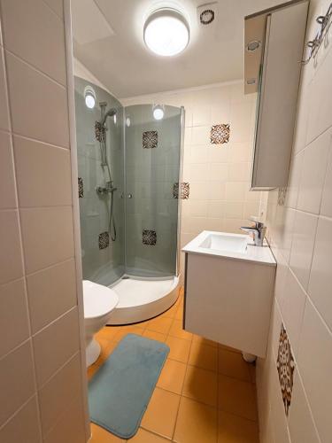 a bathroom with a shower and a sink and a toilet at Loft in Viljandi Old Town in Viljandi