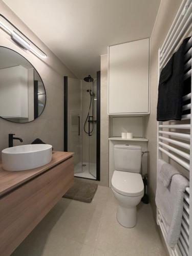 a bathroom with a toilet and a sink and a mirror at Lavand'in Durbuy in Durbuy