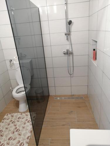 a bathroom with a shower and a toilet at Apartman Antonio 2 in Karlovac