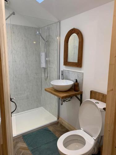 a bathroom with a shower and a toilet and a sink at Mini Treacle Cottage in Dundry