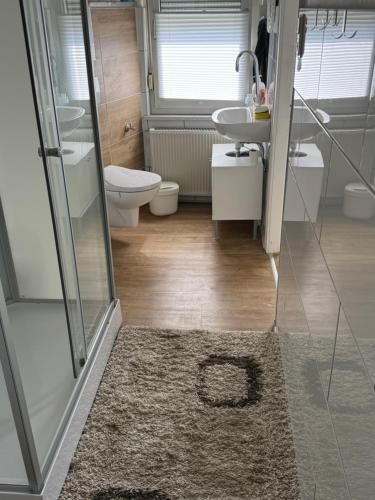 a bathroom with a shower and a sink and a toilet at Schelder Unterkunft in Dillenburg