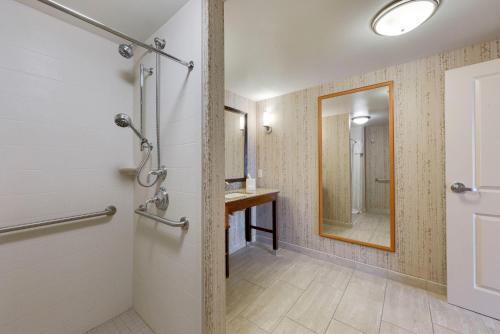 a bathroom with a shower and a mirror at Homewood Suites by Hilton Fort Worth Medical Center in Fort Worth