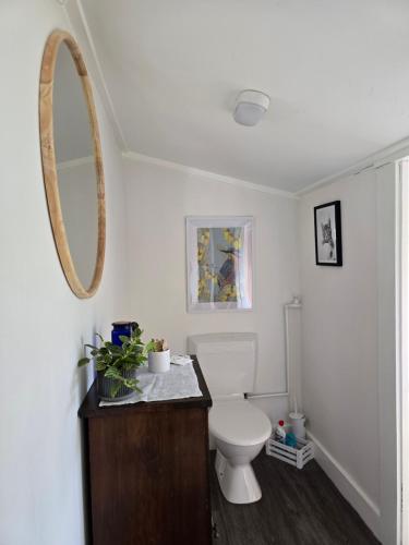 a bathroom with a toilet and a mirror at Dalton's Deed in Roxburgh