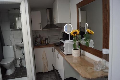 a kitchen with a counter with a vase of flowers on it at Brabo 1 in Landskrona