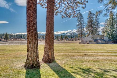 two trees in a field with a house in the background at Lodge Room 023 in Black Butte Ranch