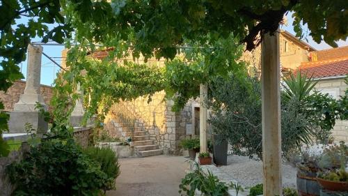 Apartments by the sea Postira, Brac - 25147