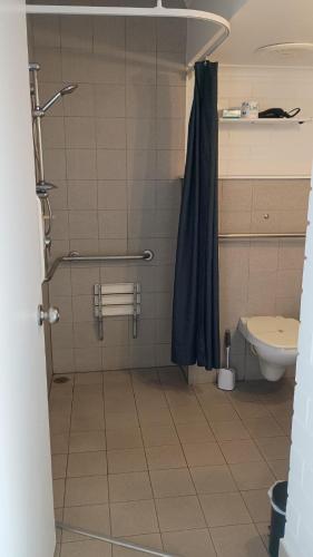 a bathroom with a shower and a toilet at Dalby Manor Motor Inn in Dalby