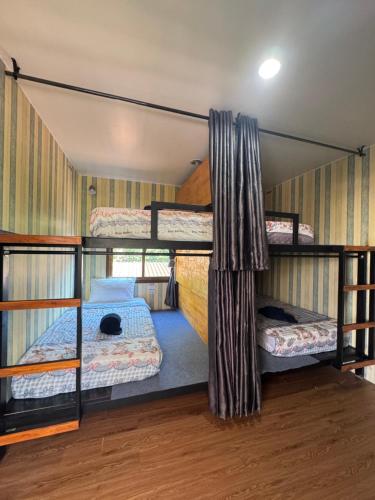 a room with three bunk beds in a house at Primmy house kohtao in Ko Tao