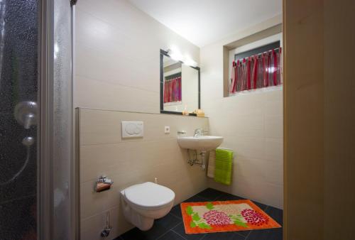 a small bathroom with a toilet and a sink at Alpenapart Saphir in Sölden