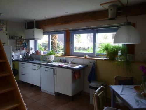a kitchen with white cabinets and a sink and windows at Gite Sent Martin in Roquefixade