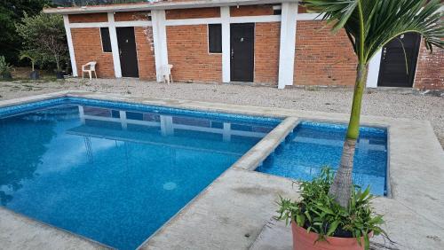 a swimming pool with a palm tree in front of a building at Hospedaje Tecmilco in Tepoztlán