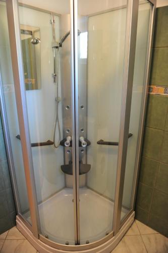 a glass shower with a toilet in a bathroom at Apartment Matini Dvori in Dubrava