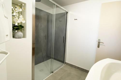 a glass shower in a bathroom with a sink at Gîte paumajoly in Castres