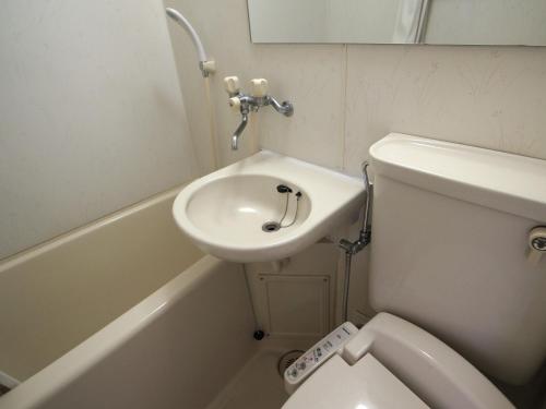 a small bathroom with a toilet and a sink at Green Rich Hotel Suizenji in Kumamoto