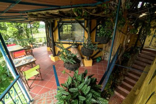 an overhead view of a porch with potted plants at Casa Encuentro Ecolodge, Outdoor Gym and Yoga in Guatapé