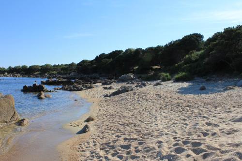 Gallery image of Les jardins de Porto Pollo in Porto Pollo