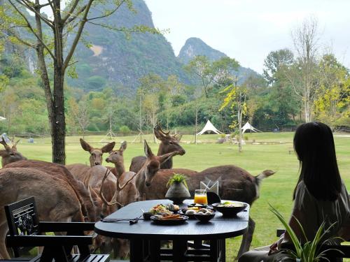 Eine Frau sitzt an einem Tisch und beobachtet eine Hirschherde. in der Unterkunft YINGMAN HOTEL in Yangshuo
