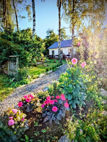 a garden with flowers and a house in the background at Ales BnB in Löderup