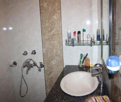 y baño con lavabo y ducha. en Homestay Chateau 39 en Nueva Delhi