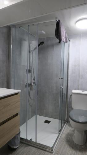a shower stall in a bathroom with a toilet at Les Victoriennes in Verdun-sur-Meuse