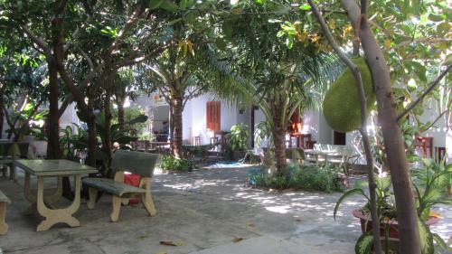 Κήπος έξω από το Duc Thao Guest House