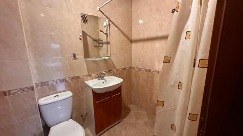 a bathroom with a toilet and a sink and a shower at Kulata Predel in Razlog
