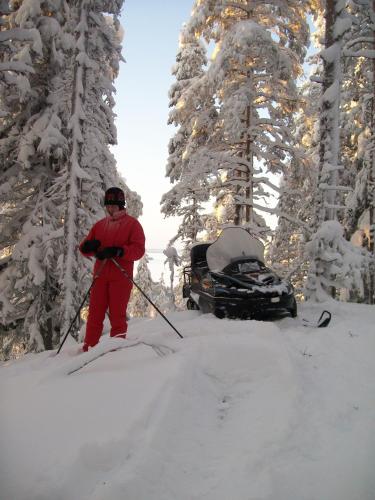 a man on skis in the snow next to trees at Lake Cottage Jänisvaara in Kolinkylä