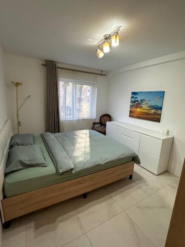 a bedroom with a bed and a desk in it at Zen 2 Bedroom Apartment with Terrace in Zalău