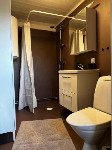 a bathroom with a toilet and a sink and a mirror at Little House in Bäckaskog in Fjälkinge