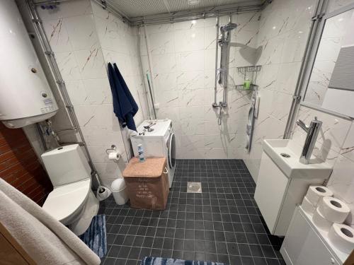 a bathroom with a shower and a toilet and a sink at Emmaste Apartment in Emmaste