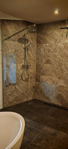 a bathroom with a shower and a sink and a tub at La Petite Auberge de Graux in Mettet