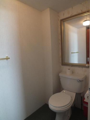 a bathroom with a white toilet and a mirror at Taormina Guest House in Tenby