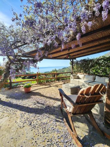 a bench under a pergola with a tree with purple flowers at Sea view villa with large garden in Campo nell'Elba