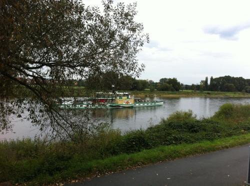 a boat on a river with a tree at Pension Villa Else in Heidenau