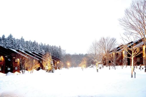 a snow covered park with buildings and trees at Hotel Sierra Resort Hakuba in Hakuba