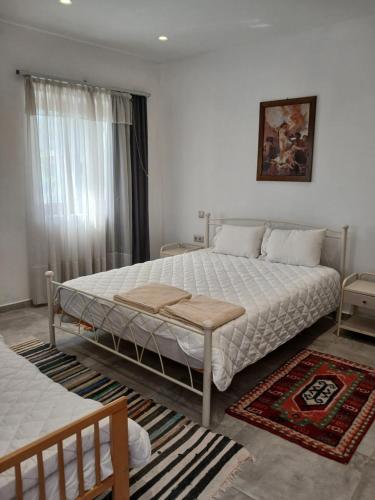 a bedroom with two beds and a rug at Ιχνηλάτες in Agios Nikolaos