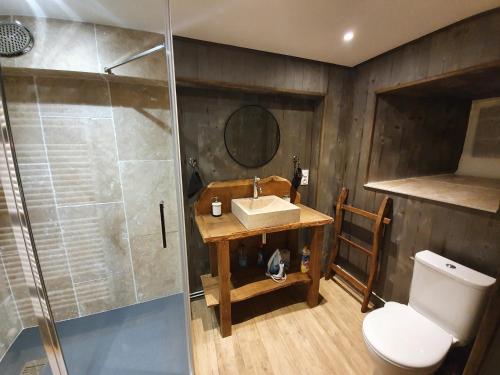 a bathroom with a toilet and a sink and a shower at La Tanière in Sirod
