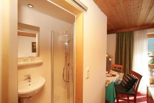 a bathroom with a shower and a sink and a toilet at Pension Lacknerhof in Piesendorf